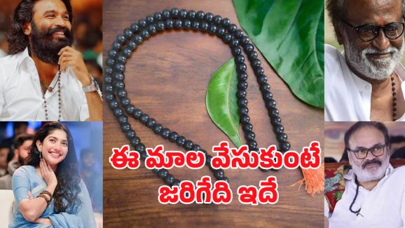 Karungali Mala: ఒక చిన్న మాల.. జీవితాన్ని మార్చేస్తుందా? ఇది దేవుని ఆశీర్వాదమా!