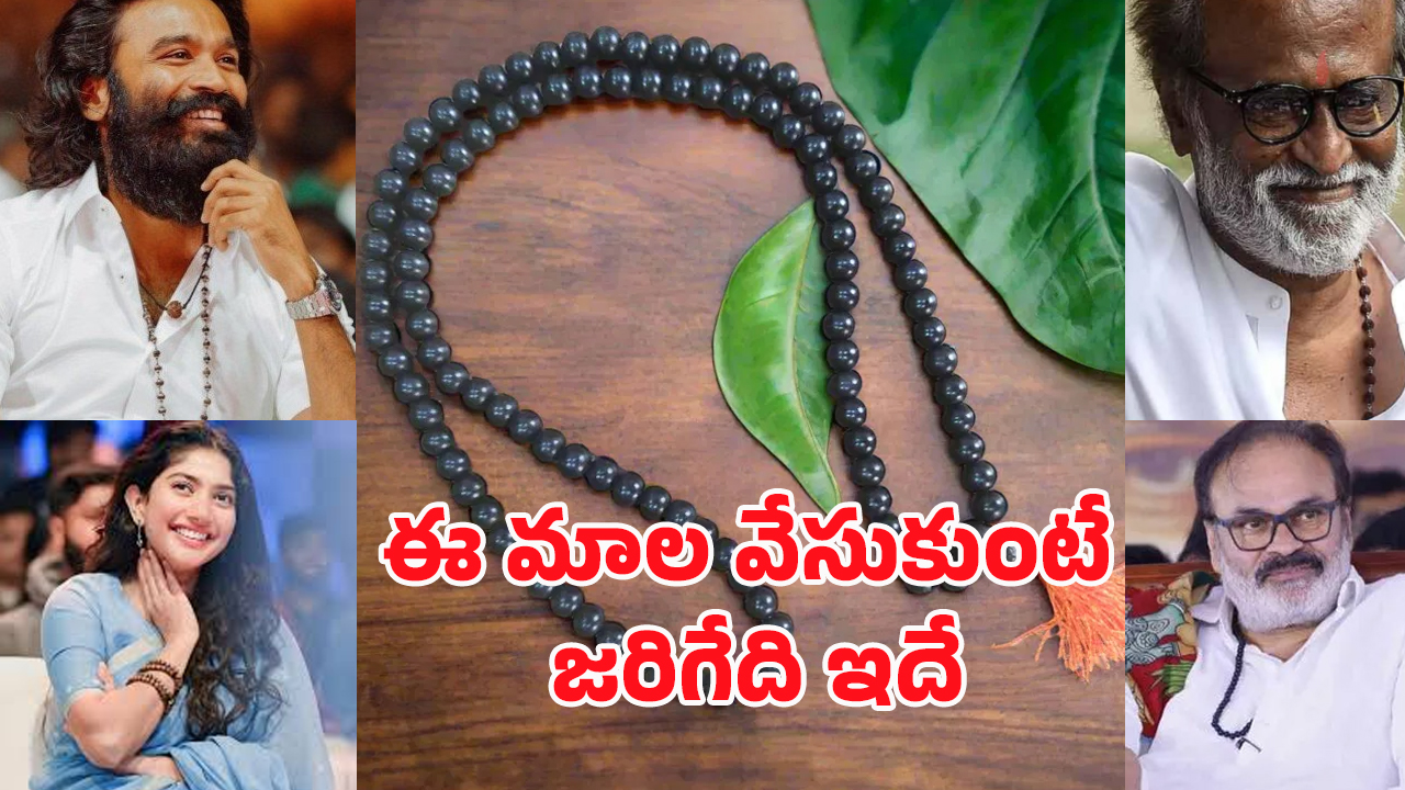 Karungali Mala: ఒక చిన్న మాల.. జీవితాన్ని మార్చేస్తుందా? ఇది దేవుని ఆశీర్వాదమా!