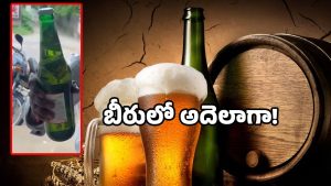 Kingfisher Beer: కింగ్ ఫిషర్ బీరులో సర్ప్రైజ్.. వరంగల్‌లో షాకింగ్ ఘటన!