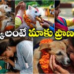 Dogs Day Celebrations: ఆ దేశంలో శునకానికి పూజ చేసి.. వేడుకలు చేస్తారు, ఎందుకంటే?