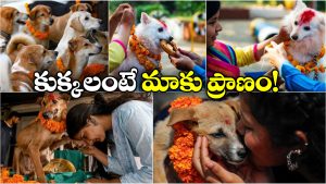 Dogs Day Celebrations: ఆ దేశంలో శునకానికి పూజ చేసి.. వేడుకలు చేస్తారు, ఎందుకంటే?