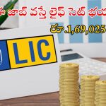 LIC Notification: ఎల్ఐసీలో 491 ఉద్యోగాలు.. డిగ్రీ పాసైతే చాలు.. రూ.1,69,025 వేతనం