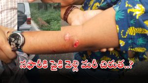 Leopard Attack: సఫారీ రైడ్‌లో బాలుడిపై చిరుత అటాక్.. పరిగెత్తుకుంటూ వచ్చి మరీ.. వీడియో వైరల్