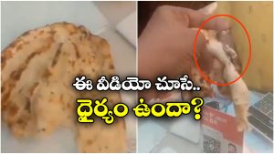 Viral Video: ఆహా.. తందూరి రోటీలో బల్లి.. దోరగా వేగిపోయి.. కస్టమర్‌కు షాక్!
