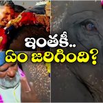 Viral Video: భావోద్వేగంతో సాగనంపిన జనం, కంటతడి పెట్టిన ఏనుగు!