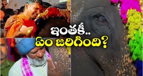 Viral Video: భావోద్వేగంతో సాగనంపిన జనం, కంటతడి పెట్టిన ఏనుగు!