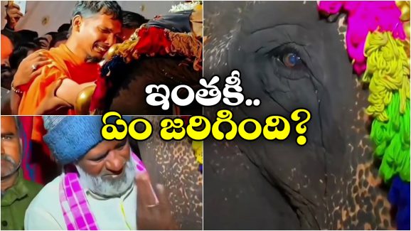 Viral Video: భావోద్వేగంతో సాగనంపిన జనం, కంటతడి పెట్టిన ఏనుగు!