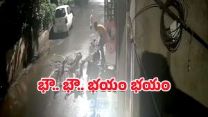 Dongs Attack Man: వామ్మో.. వ్యక్తిని చుట్టుముట్టిన కుక్కలు.. దడపుట్టిస్తున్న షాకింగ్ వీడియో