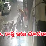 Dongs Attack Man: రౌండ్ వేసి మరీ వ్యక్తిపై దాడి చేసిన వీధి కుక్కలు.. దడ పుట్టిస్తున్న వీడియో