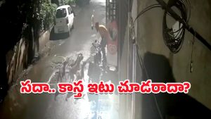 Dongs Attack Man: రౌండ్ వేసి మరీ వ్యక్తిపై దాడి చేసిన వీధి కుక్కలు.. దడ పుట్టిస్తున్న వీడియో