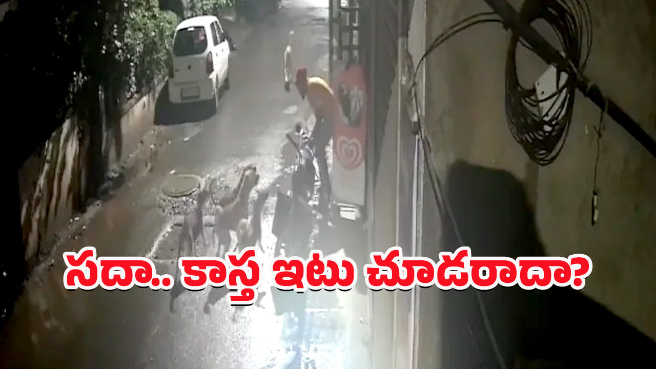 Dongs Attack Man: రౌండ్ వేసి మరీ వ్యక్తిపై దాడి చేసిన వీధి కుక్కలు.. దడ పుట్టిస్తున్న వీడియో