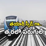 Make In India Metro: వేగంగా తయారవుతున్న మెట్రో కోచ్‌లు.. విలువ కోట్లలో.. ఏ రాష్ట్రానికో తెలుసా?