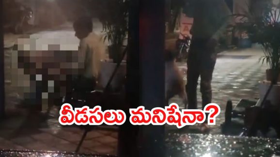 Viral News: కెమెరాకు చిక్కిన రాక్షసుడు.. కుక్కతో ఆ విధంగా, జంతు ప్రేమికులు ఆగ్రహం
