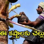 Adarana 3 Scheme: ఆదరణ 3.0 స్కీమ్.. లబ్దిదారులకు టూ వీలర్స్, ఇక పండగే