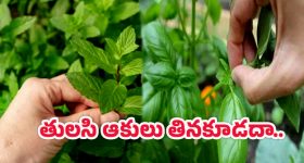 Birth Certificate: ఇదెక్కడి ఘోరం.. బర్త్ సర్టిఫికెట్‌కు అప్లై చేస్తే డెత్ సర్టిఫికెట్..?