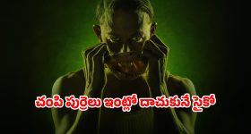 OTT Movie : ఆడవాళ్ళపై పగబట్టే సీరియల్ కిల్లర్... శవాల చర్మం వలిచి... స్పైన్ చిల్లింగ్ సైకో థ్రిల్లర్
