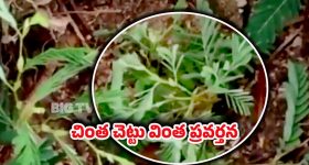 Shruti Haasan: బ్లాక్ కలర్ సెంటిమెంట్ వెనక ఇంత కథ ఉందా?