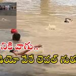 Viral video: ఇవి వరద నీళ్లా.. స్విమ్మింగ్ పూలా..? ఎలా ఈత కొడుతున్నారో చూడండి, వీడియో వైరల్