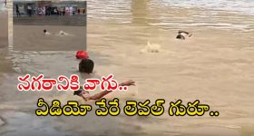 Viral video: ఇవి వరద నీళ్లా.. స్విమ్మింగ్ పూలా..? ఎలా ఈత కొడుతున్నారో చూడండి, వీడియో వైరల్