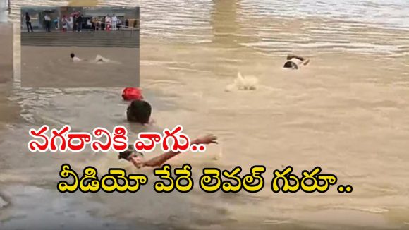 Viral video: ఇవి వరద నీళ్లా.. స్విమ్మింగ్ పూలా..? ఎలా ఈత కొడుతున్నారో చూడండి, వీడియో వైరల్