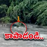 Musi River: మూసీ వరదలో చిక్కుకున్న యువకుడు.. రెస్క్యూ టీమ్ వచ్చే లోపే..