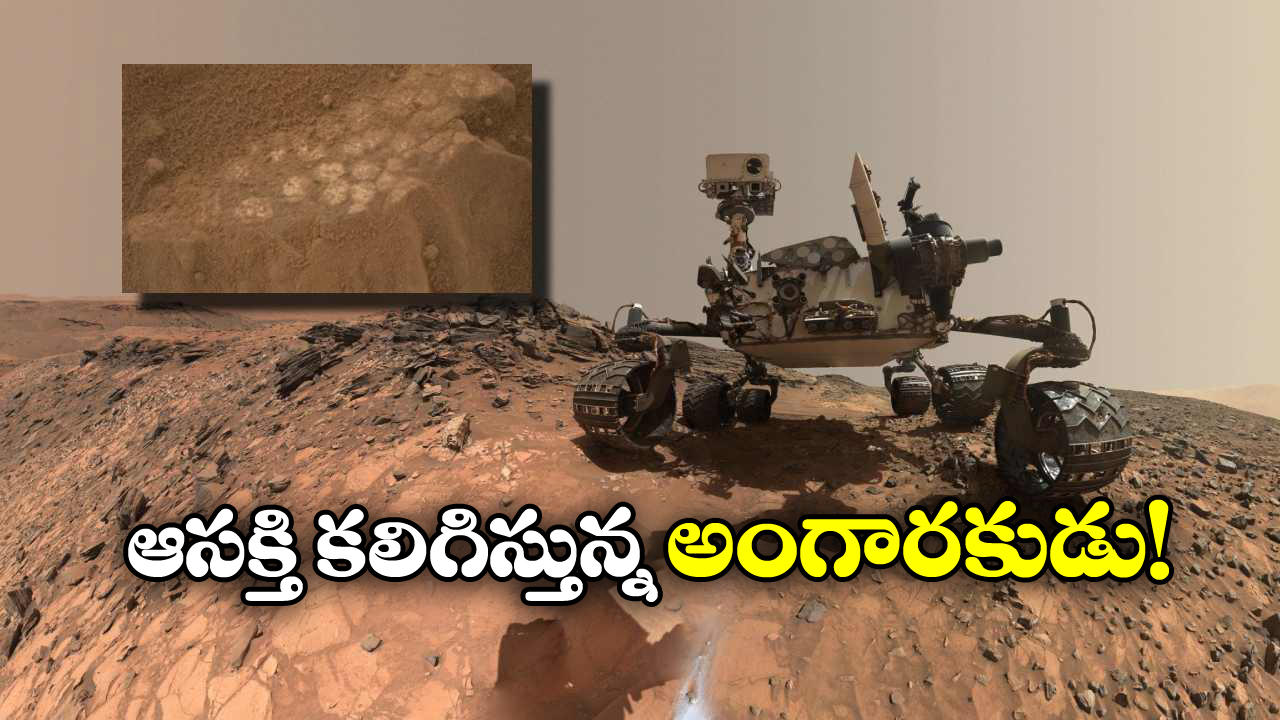 Dinosaur Eggs: అంగారక గ్రహంపై ‘డైనోసార్ ఎగ్స్’.. ఒకప్పుడు అక్కడ జీవులు మనగడ ఉండేదా?