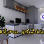 NIACL: డిగ్రీ అర్హతతో భారీగా ఉద్యోగాలు.. స్టార్టింగ్ వేతనమే రూ.50,000.. డోంట్ మిస్