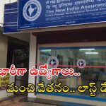 NIACL Jobs: డిగ్రీ అర్హతతో భారీగా ఉద్యోగాలు.. నెలకు రూ.96వేల జీతం, ఇదే మంచి అవకాశం