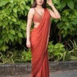 Nidhhi Agerwal: చీరకట్టులో నడుము మడతలతోనే చంపేస్తోన్న నిధి అగర్వాల్!