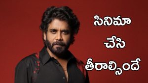 Nagarjuna: ఆ దర్శకుడును పీడించిన నాగార్జున, చివరికి ఏం జరిగిందంటే?