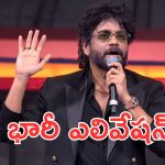 Akkineni Nagarjuna : కూలీ సినిమా 100 బాషా లతో సమానం