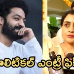 NTR: జూనియర్ ఎన్టీఆర్ రాజకీయాల్లో ఎంట్రీ ఇచ్చేది అప్పుడే, అత్త సుహాసిని క్లారిటీ