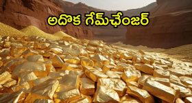 Bad Karma: చెడు కర్మలు తొలగి కోట్లు సంపాదించాలా..? అయితే ఈ దానాలు చేయండి