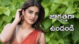 Nidhhi Agerwal: డబ్బుల కోసమే నెగిటివిటీ చేస్తున్నారు, అసలు విషయం ఓపెన్ అయిన నిధి అగర్వాల్