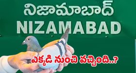Watch Video: ఆ గుండె బతకాలి రా.. రనౌట్ కు ఛాన్స్ ఉన్నా కొట్టలేదు... వీడియో చూస్తే దిమ్మతిరగాల్సిందే