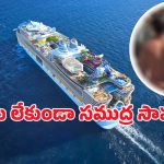 Nude Cruises: ఏవండోయ్ ఇది విన్నారా.. బట్టలు లేకుండా సముద్ర ప్రయాణం.. ఎక్కడో తెలుసా?