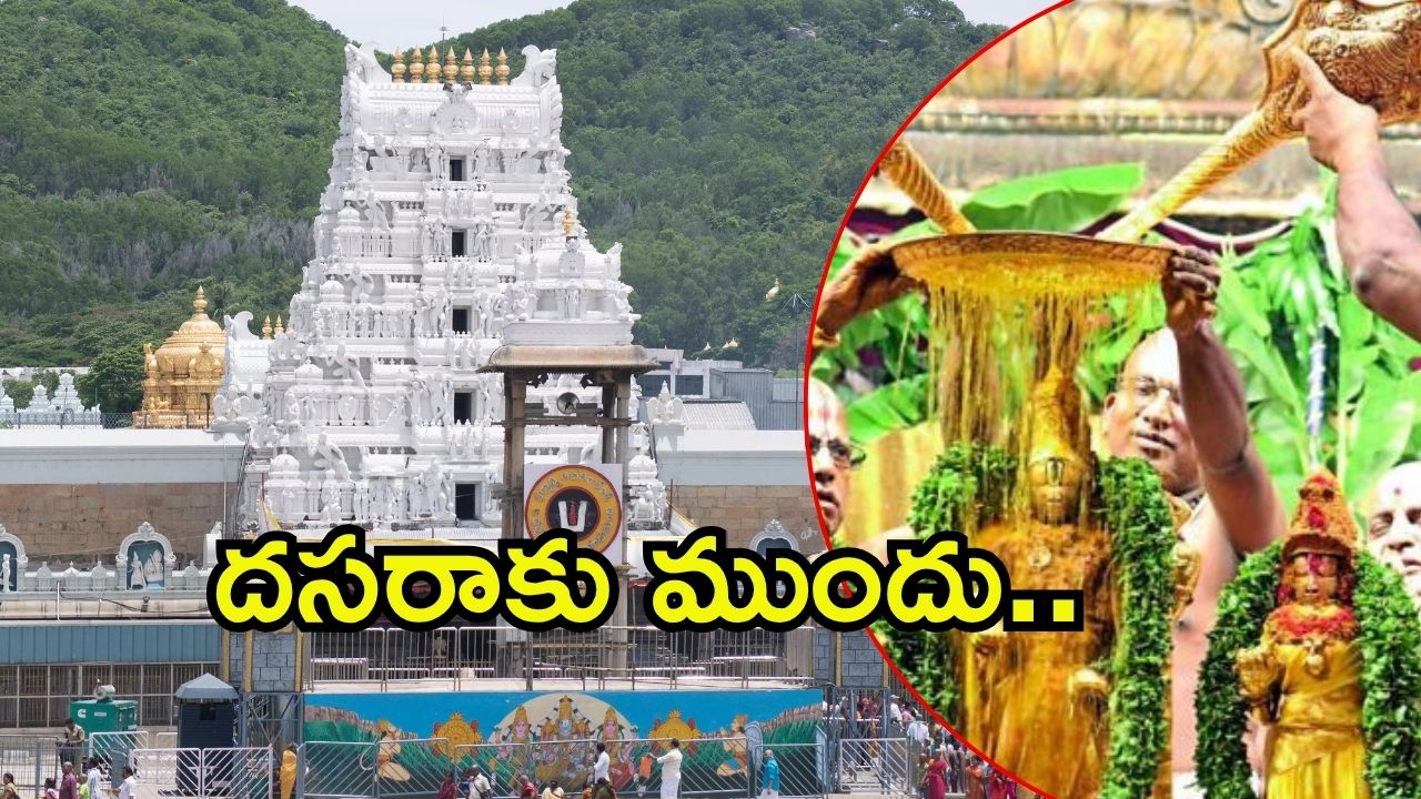 Tirumala News: భక్తులకు శ్రీవారి న్యూస్.. సోమవారం నుంచి మొదలు, అంతా రెడీ