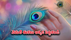Vastu Secret: వాస్తు సీక్రెట్.. నెమలి ఈకలతో ఇలా చేస్తే మీ ఇంట్లో అన్ని శుభాలే