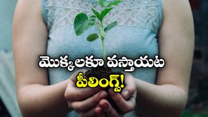 Plants: మొక్కలకు కూడా అలాంటి ఫీలింగ్స్ ఉంటాయా? అవి ఎలా ప్రతిస్పందిస్తాయంటే?