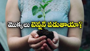 Plants: మొక్కలకూ ఫీలింగ్స్ ఉంటాయా? మనలాగే ప్రతిస్పందిస్తాయా?