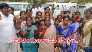Pulivendula ZPTC: పులివెందుల, ఒంటమిట్టలో ముగిసిన పోలింగ్