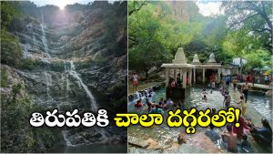 Tirupati Hidden Places: తిరుమలలో ఈ రహస్య నీటి కొలను గురించి తెలుసా? ఫుల్‌ గా ఎంజాయ్ చేయొచ్చు!