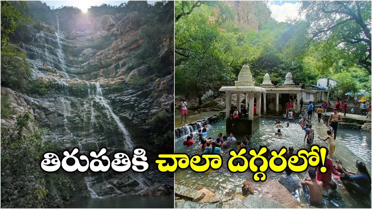 Tirupati Hidden Places: తిరుమలలో ఈ రహస్య నీటి కొలను గురించి తెలుసా? ఫుల్‌ గా ఎంజాయ్ చేయొచ్చు!