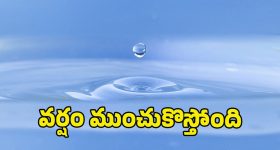 Tollywood: తెలుగు ఫిలిం ఫెడరేషన్ సంచలన నిర్ణయం... రేపటి నుంచి షూటింగ్స్ బంద్!