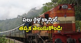 Cold: జలుబు తగ్గాలంటే ఎలాంటి టిప్స్ ఫాలో అవ్వాలి ?