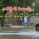 Weather News: బంగాళాఖాతంలో అల్పపీడనం.. రెండు రోజులు ఈ జిల్లాల్లో కుండపోత వర్షం