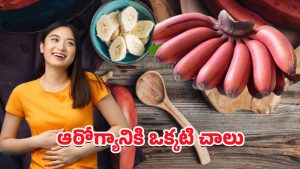 Red Banana: ఎర్రటి అరటి పండు ఎప్పుడైనా తిన్నారా? కనబడితే వెంటనే కొనేయండి!