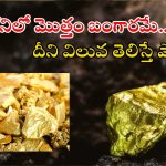 Reko Diq Gold Mine: రెకోడిక్ బంగారు గని.. ఇక్కడ 5లక్షల కోట్ల విలువైన బంగారం.. ఇది బిగ్గెస్ట్ జాక్‌పాట్..!
