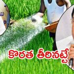 AP-Telangana: యూరియా కొరతకు బ్రేక్.. ఫలించిన ఒత్తిడి, తెలుగు రాష్ట్రాల్లో అన్నదాతల ఆనందం