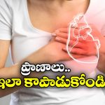 Heart Attack: గుండెపోటు రావడానికి 12 ఏండ్ల ముందే లక్షణాలు కనిపిస్తాయా? వైద్యులు ఏం చెప్తున్నారంటే?